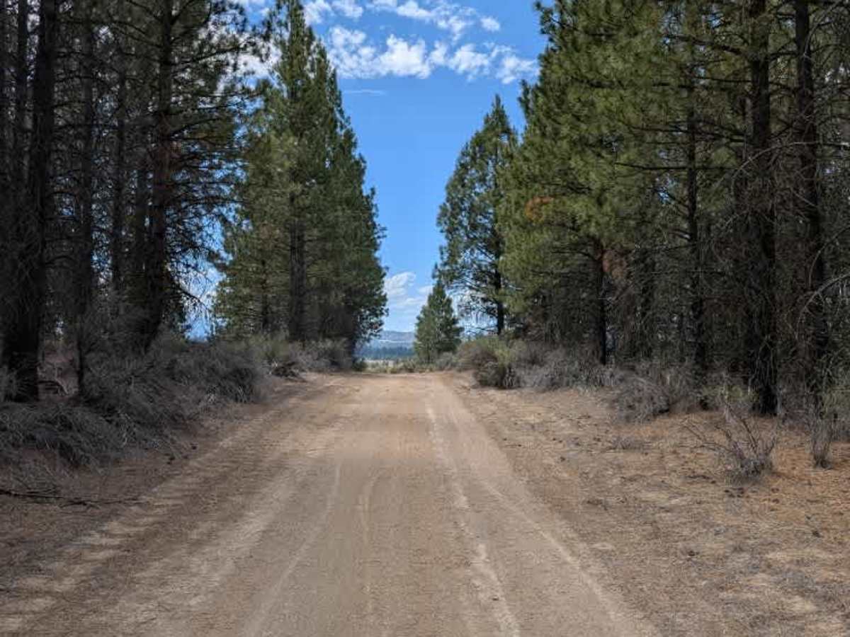 Pine Ridge trail photo
