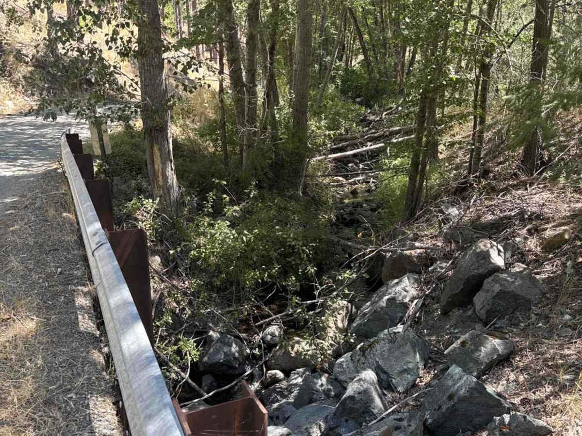 Kangaroo Creek - FS 40N08 photo 2