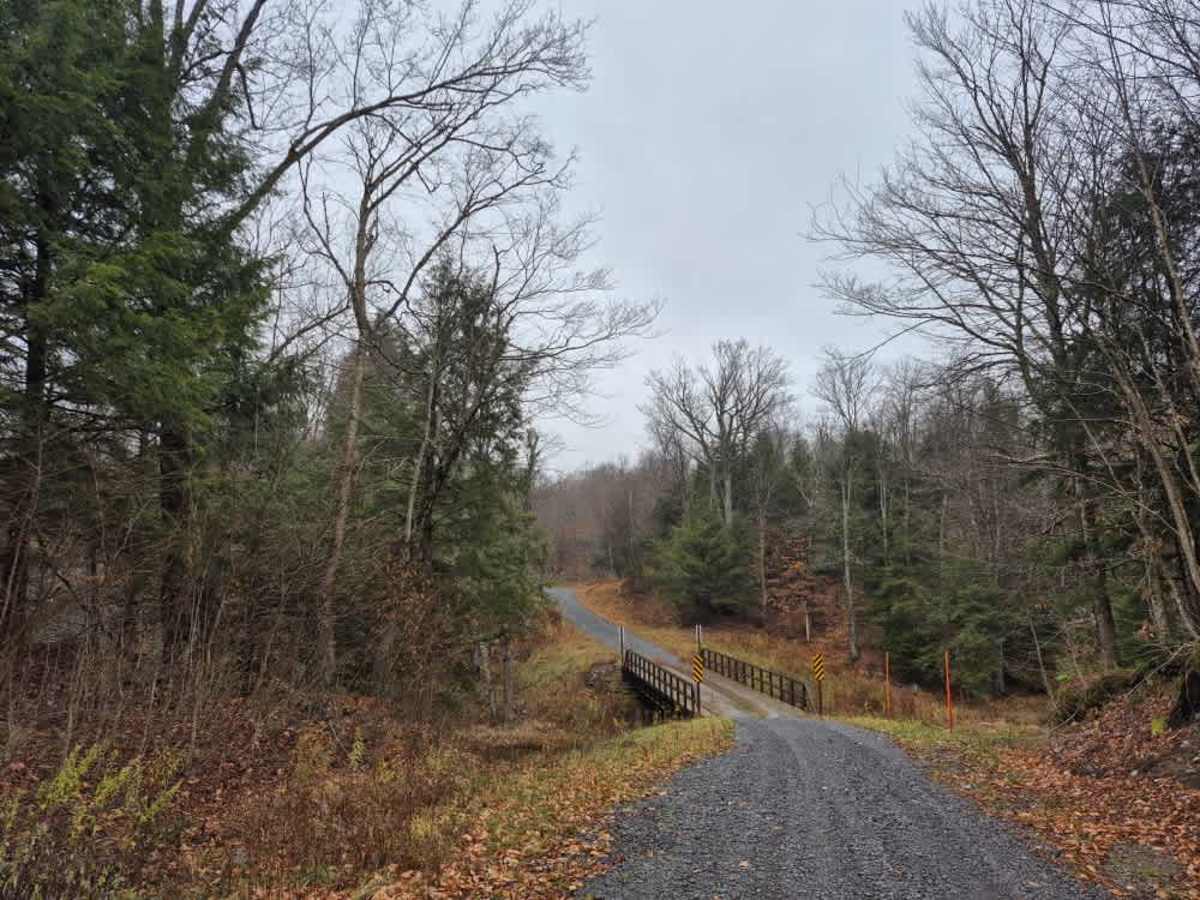 Fall Brook Easement Road trail photo