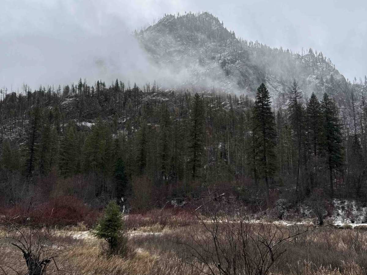 Thompson River Road trail photo