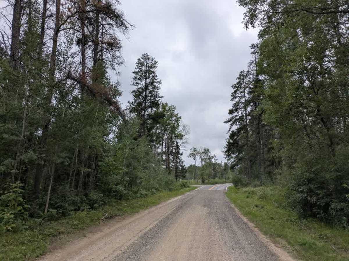 Thompson Forest Road  trail photo