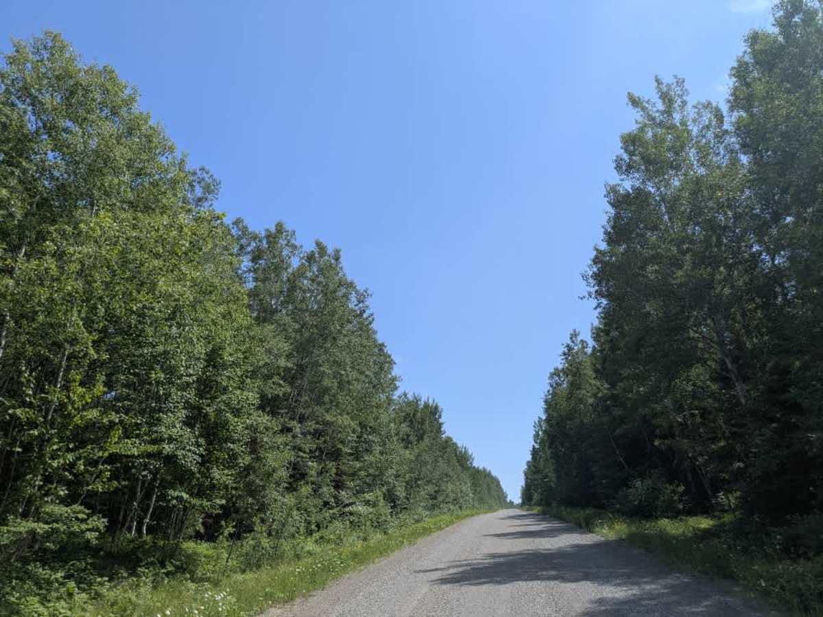 Camp 26 Truck Trail photo 3