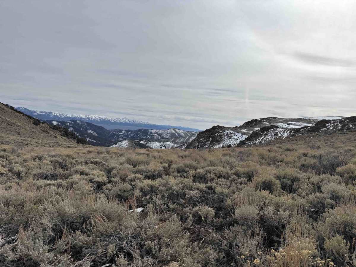 Campbell & Smith Creek Jeep Trail trail photo