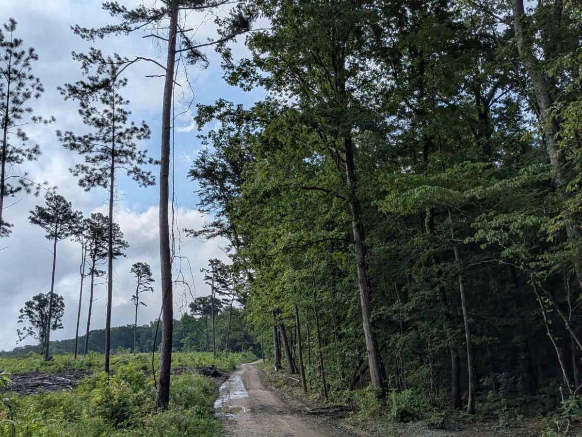 Lusk Point Road photo 2