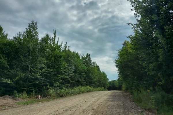 Duck Pond Road