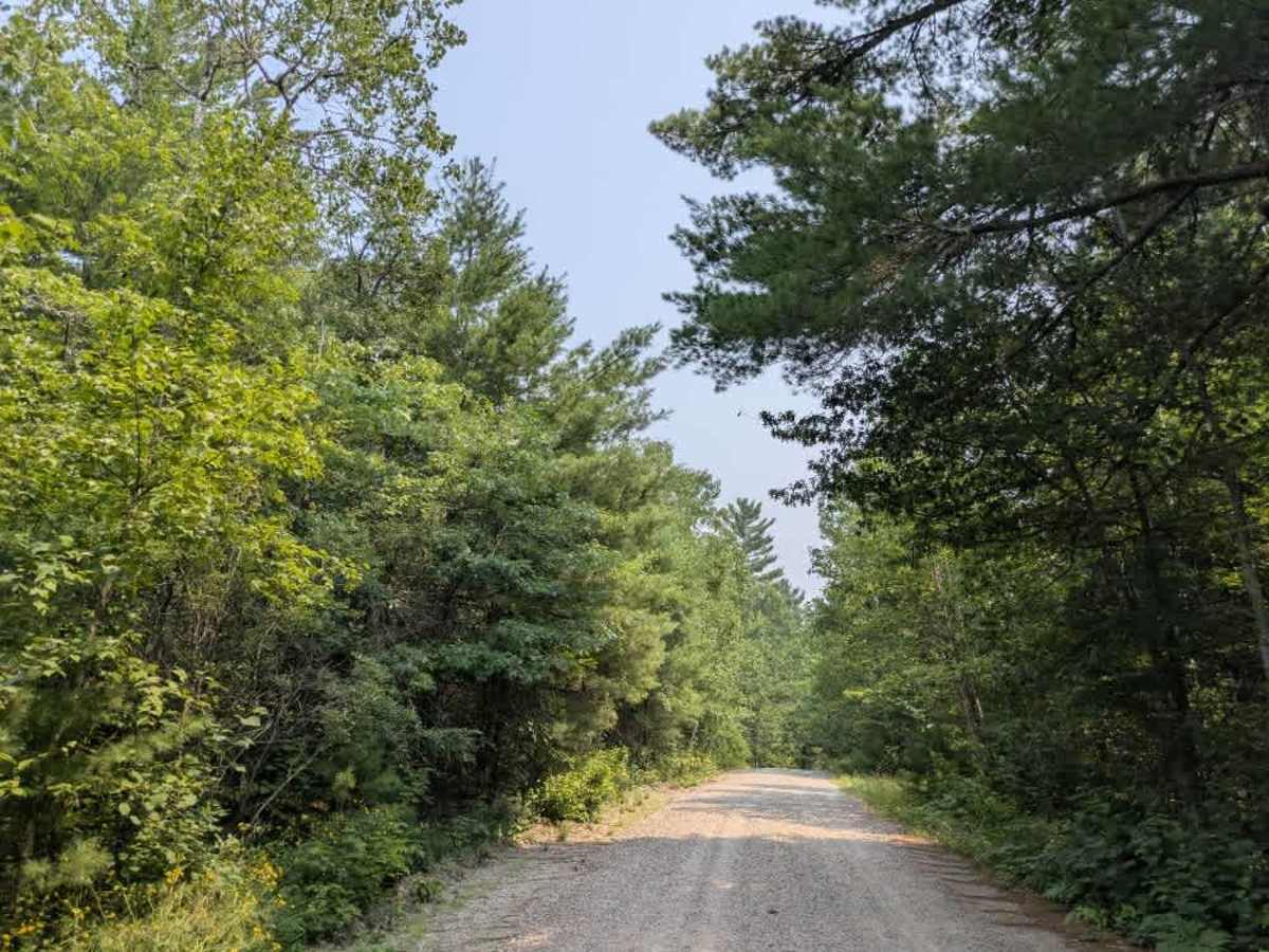 Hanson Lake Road photo 4