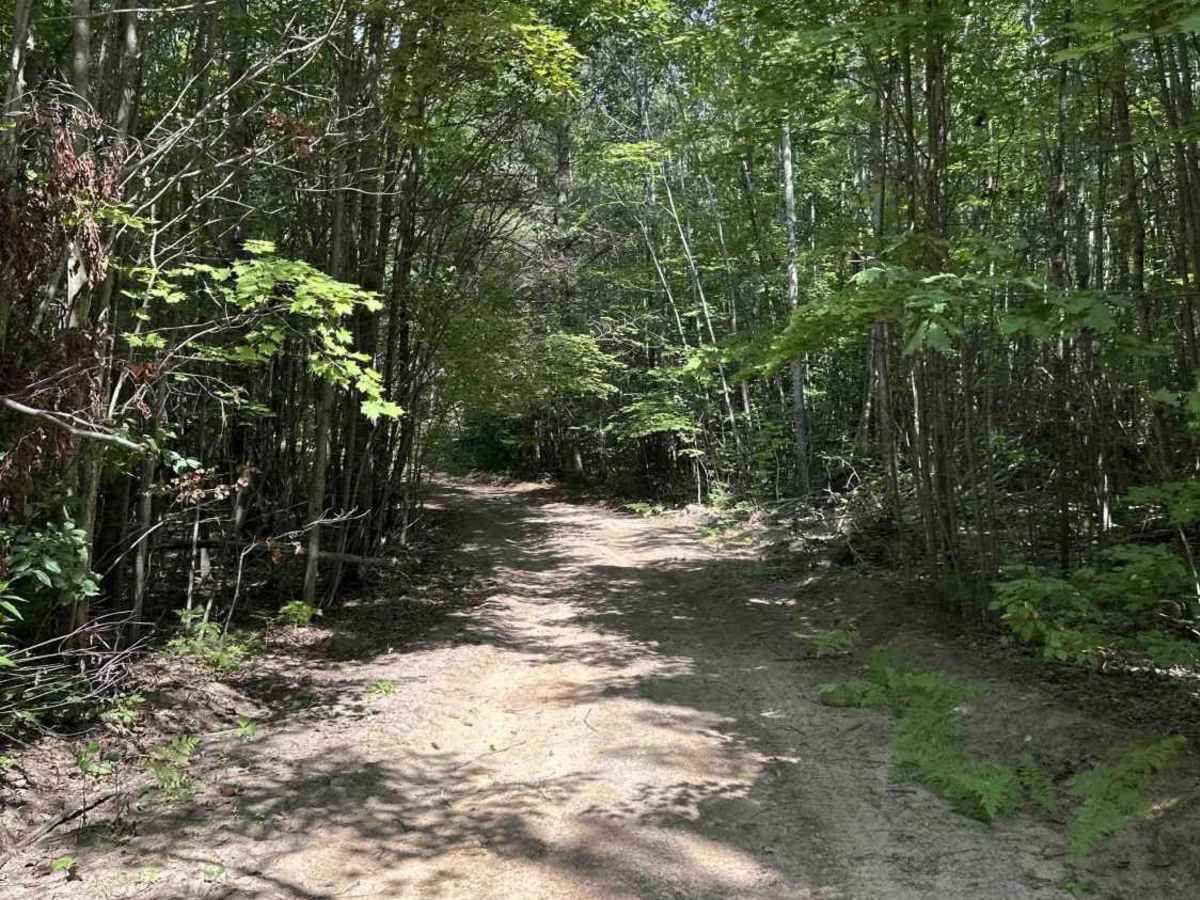 FS 3951 trail photo