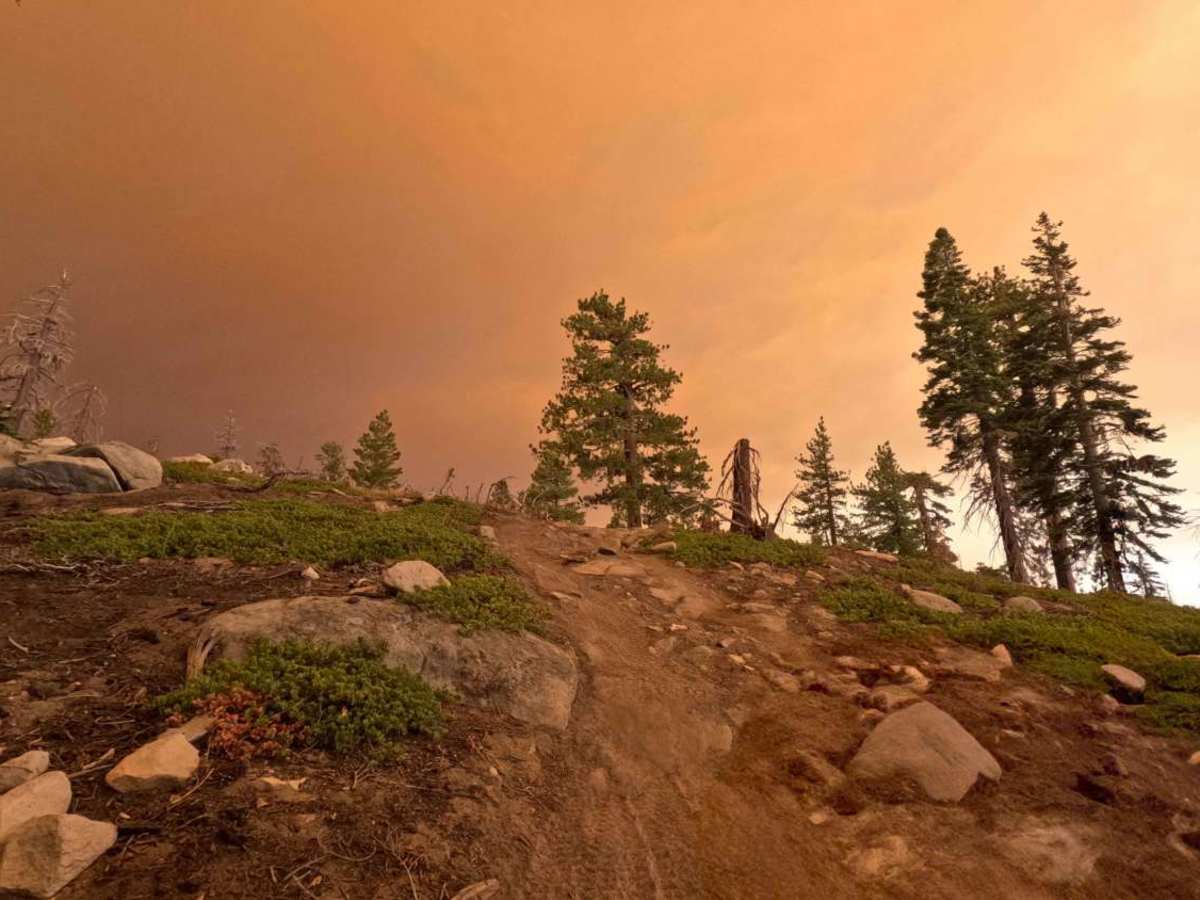 Redpole Loop - FS 26E334 trail photo