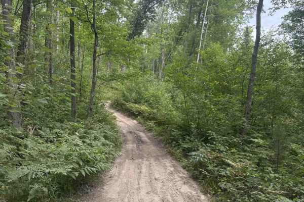 Old State House Trail
