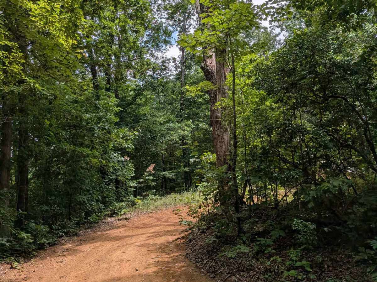 Sheep Rock Road trail photo