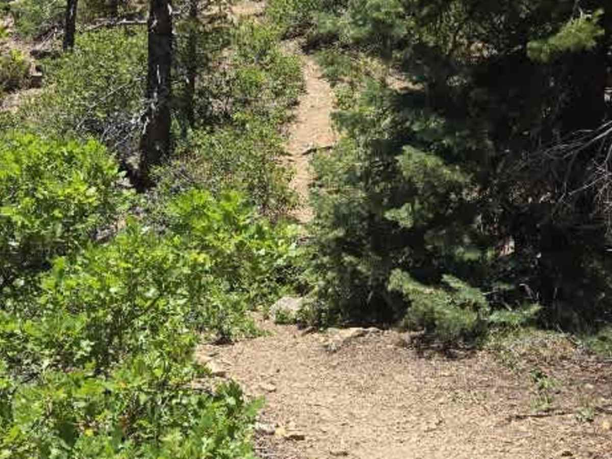 Sally's Overlook Trail - FS 639E photo 5