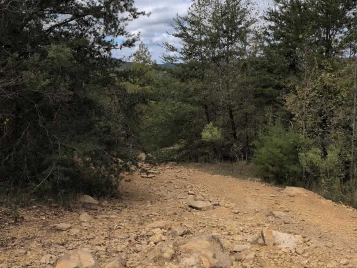 #38 Brokefoot Viewing Trail trail photo