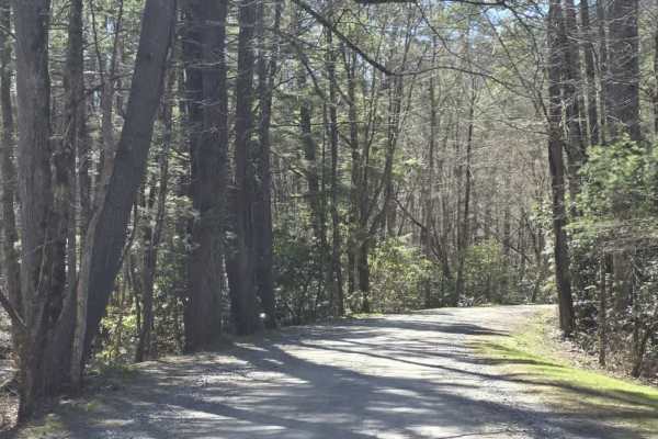 Cataloochee Creek Road