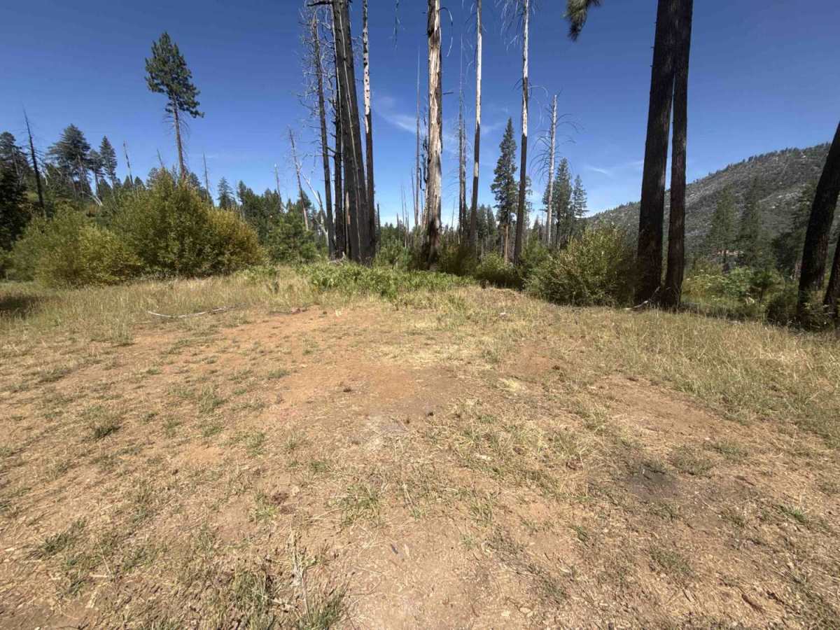 FS 1S75 photo 2