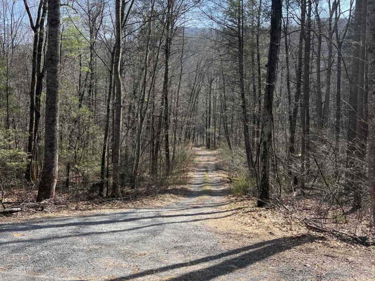 Briery Branch Trail - FS 924 trail photo
