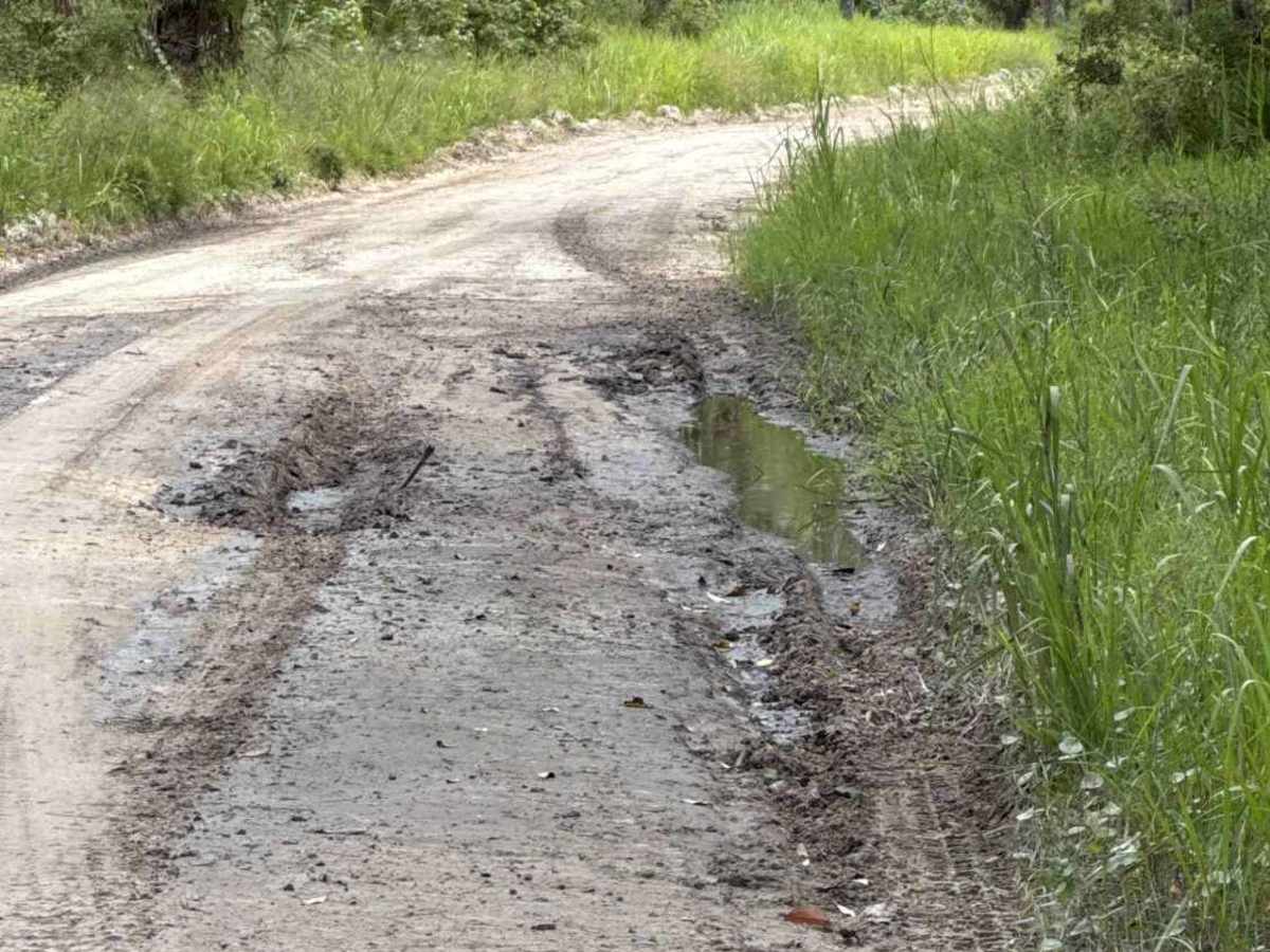 Salt Creek Road photo 2