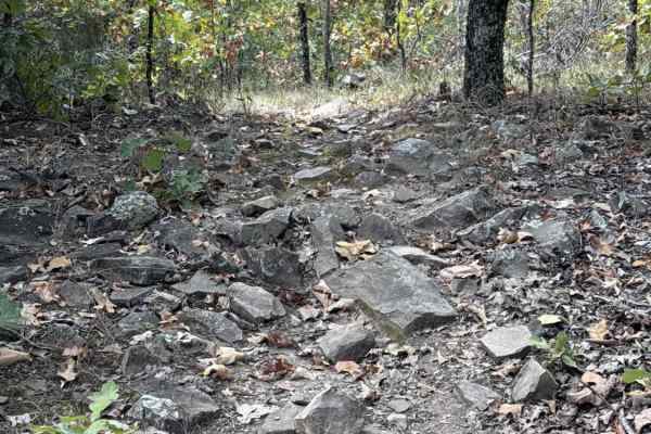Koa Trail