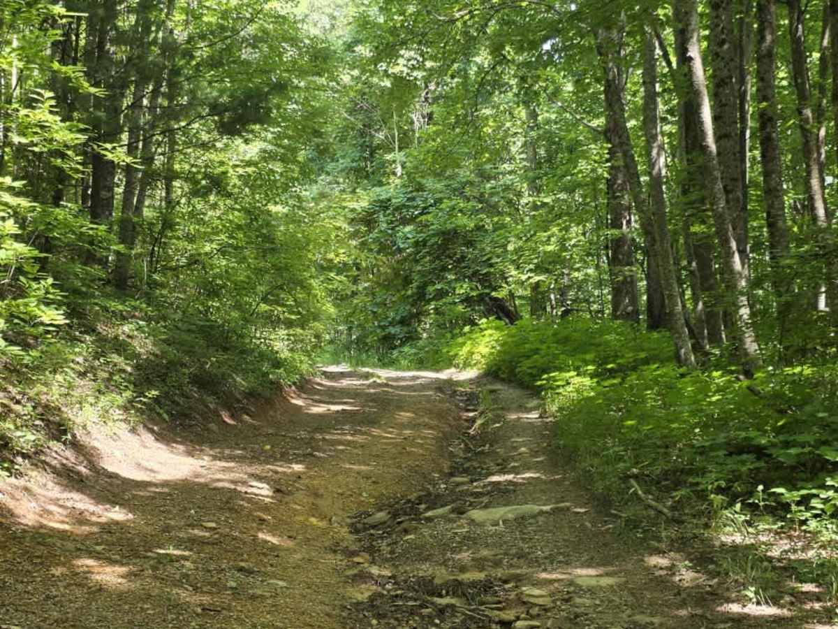 Rattlesnake Road photo 4