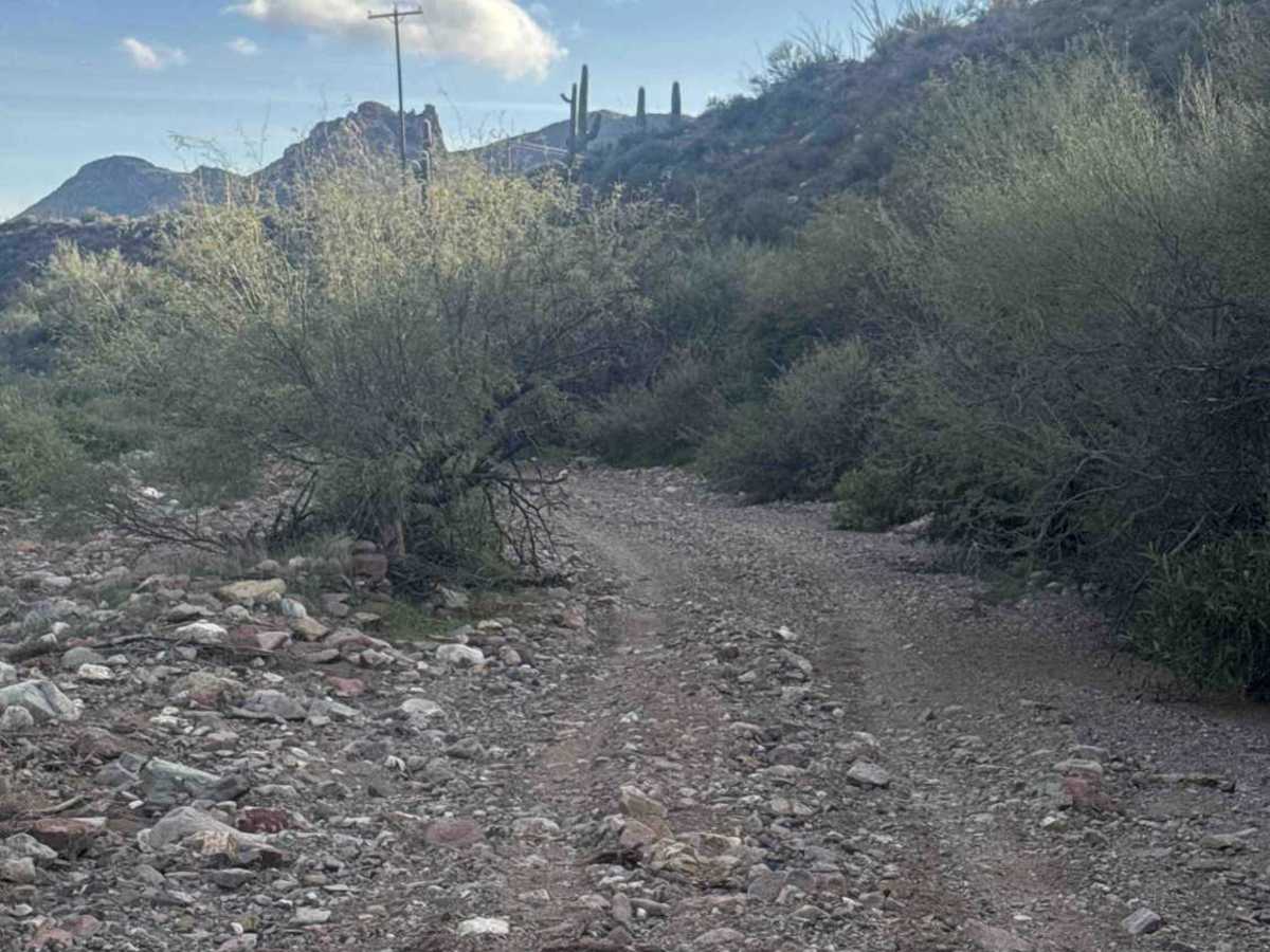 Picacho Wash  photo 2