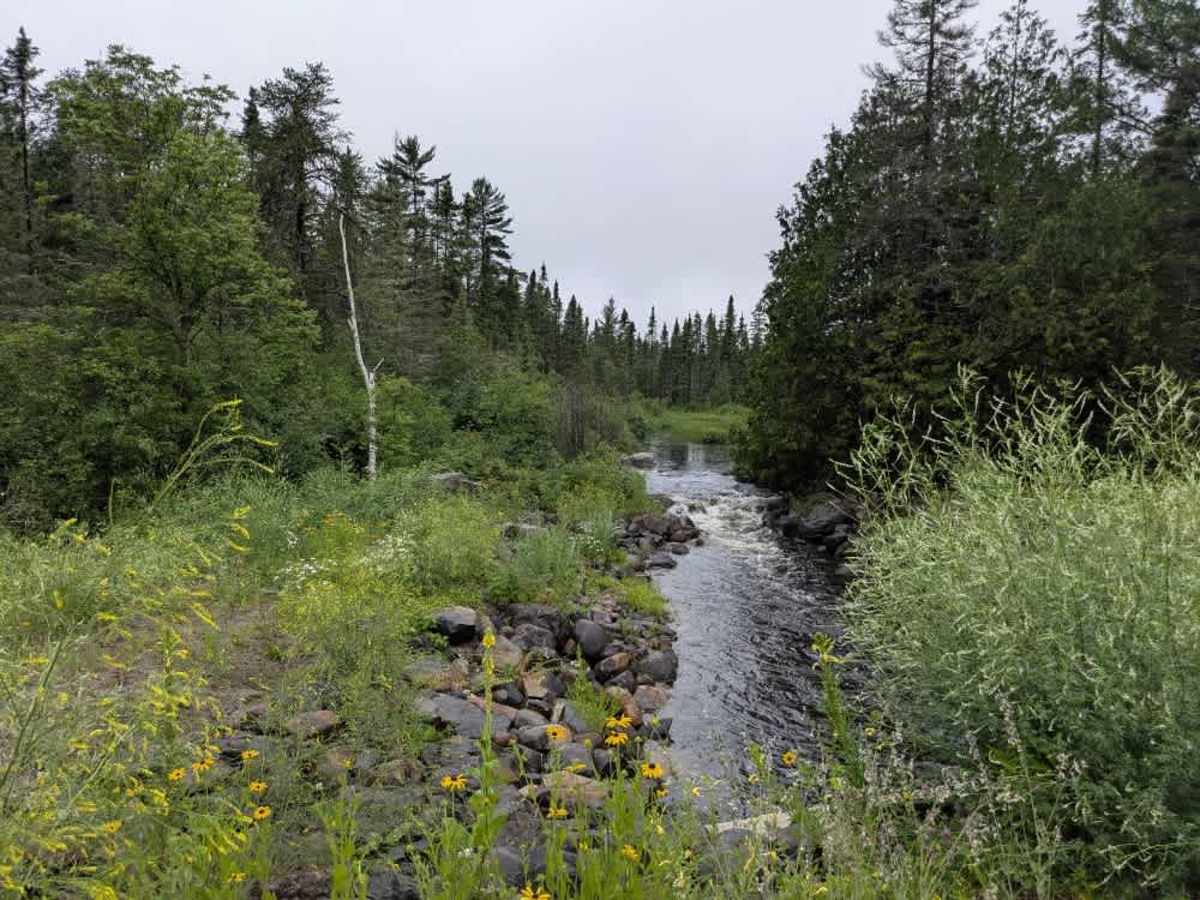 Sawbill Trail photo 3