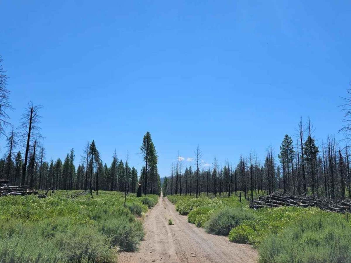 Agency Road - FS 6210000 photo 5