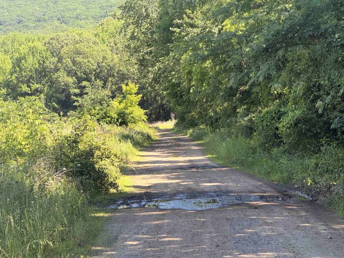 Lower Lee Creek Trail photo 2