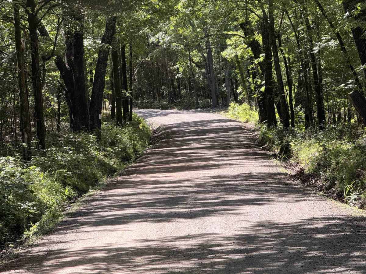 Rackley Mountain Road photo 2