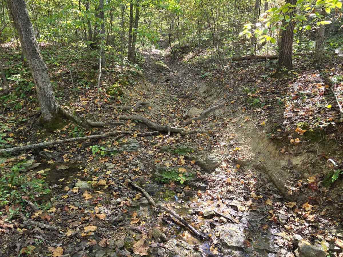 Flexin' Stuff trail photo