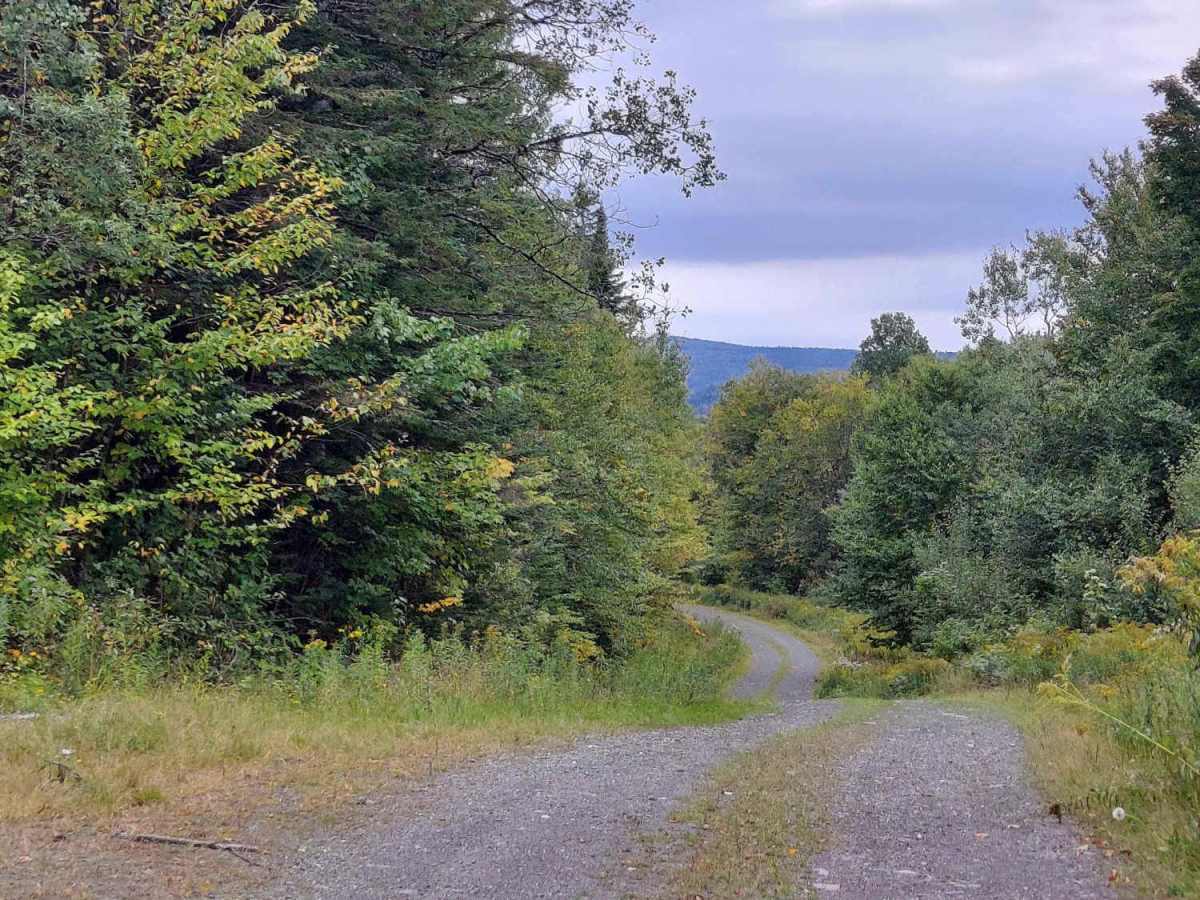 Hall Stream Road photo 3