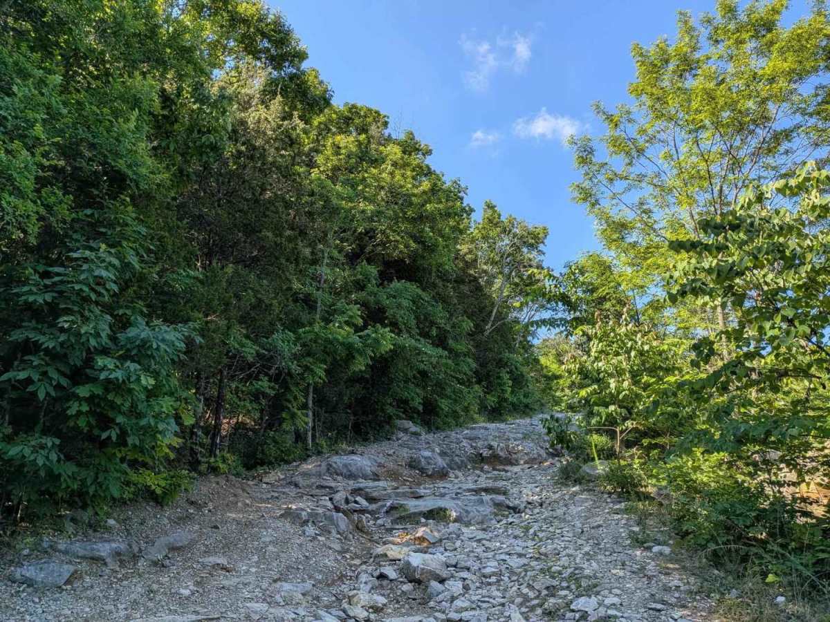 Old Rowe Gap Road photo 4