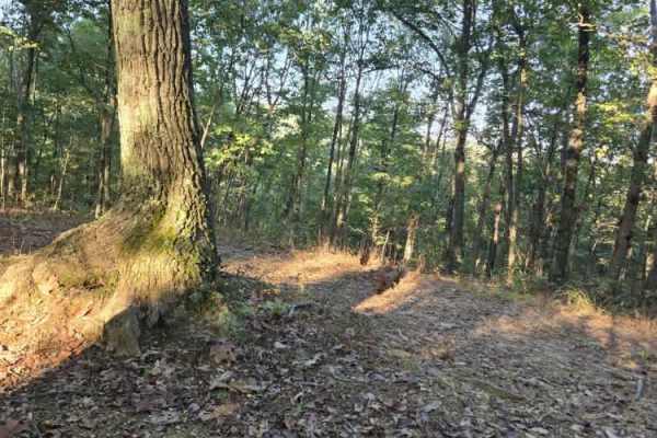 Real Ridge Road