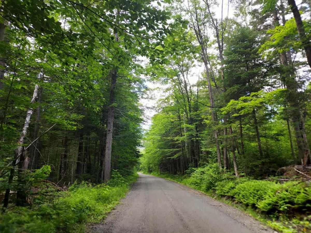 Brown Schoolhouse Road  trail photo