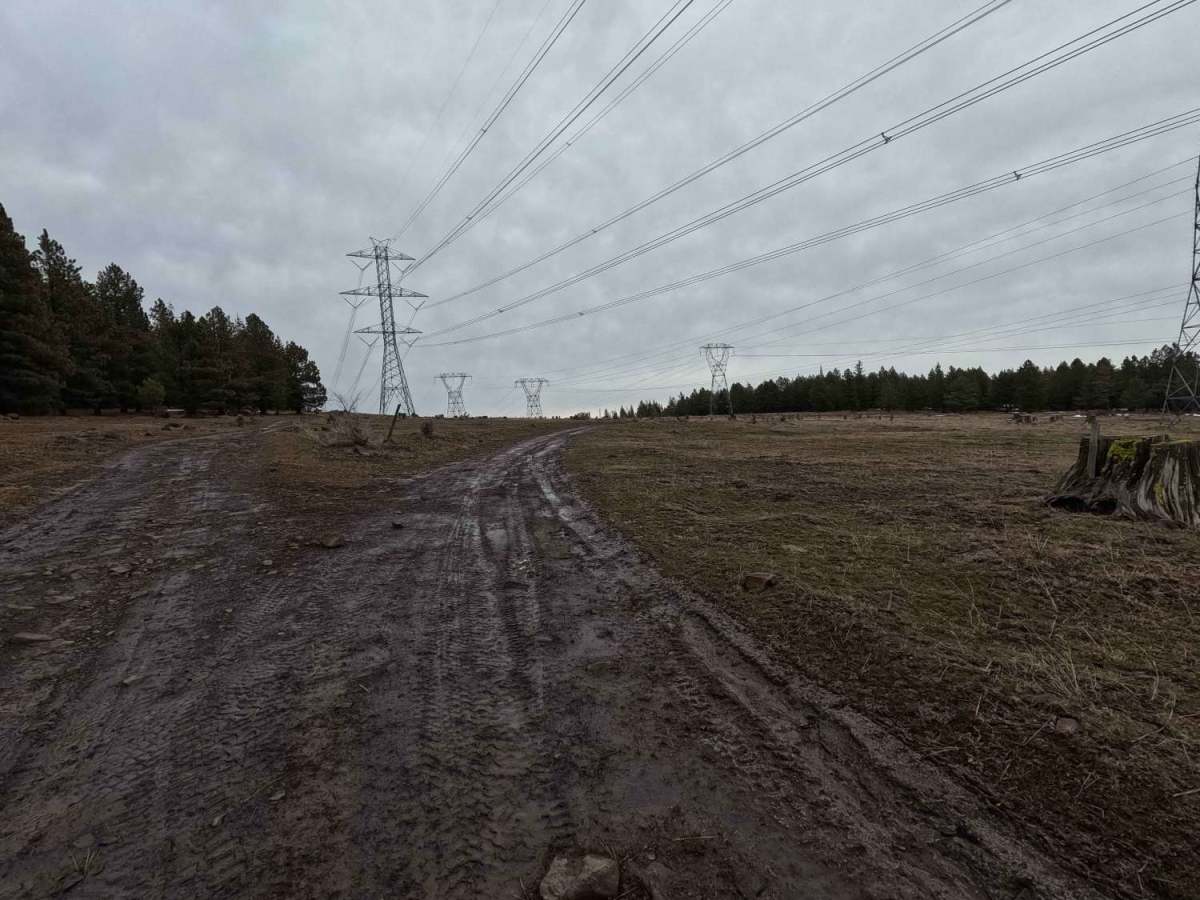 C2350 trail photo