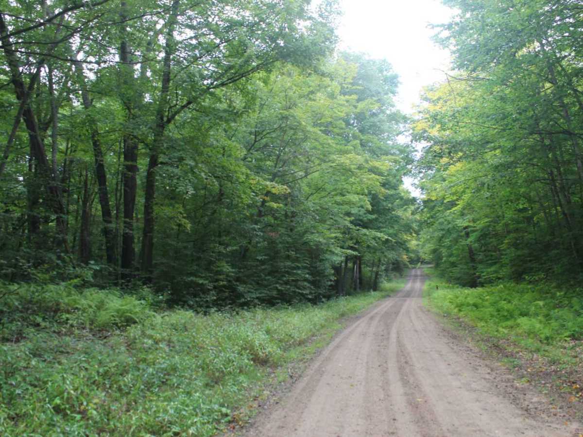 Otter Creek Trail photo 5
