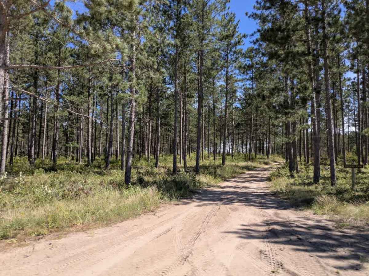 Blacks-Winner Forest Road trail photo