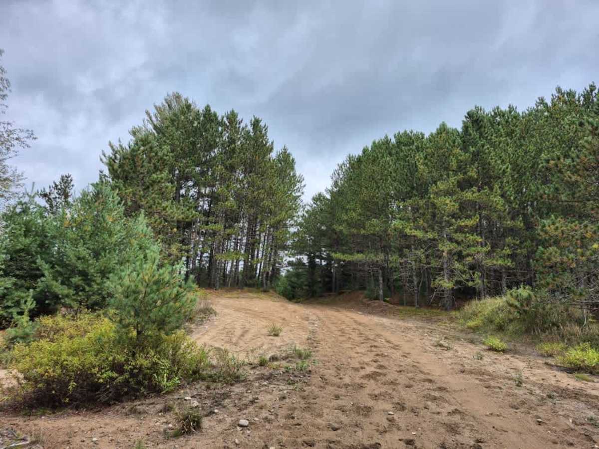 Florence Pond Road photo 5