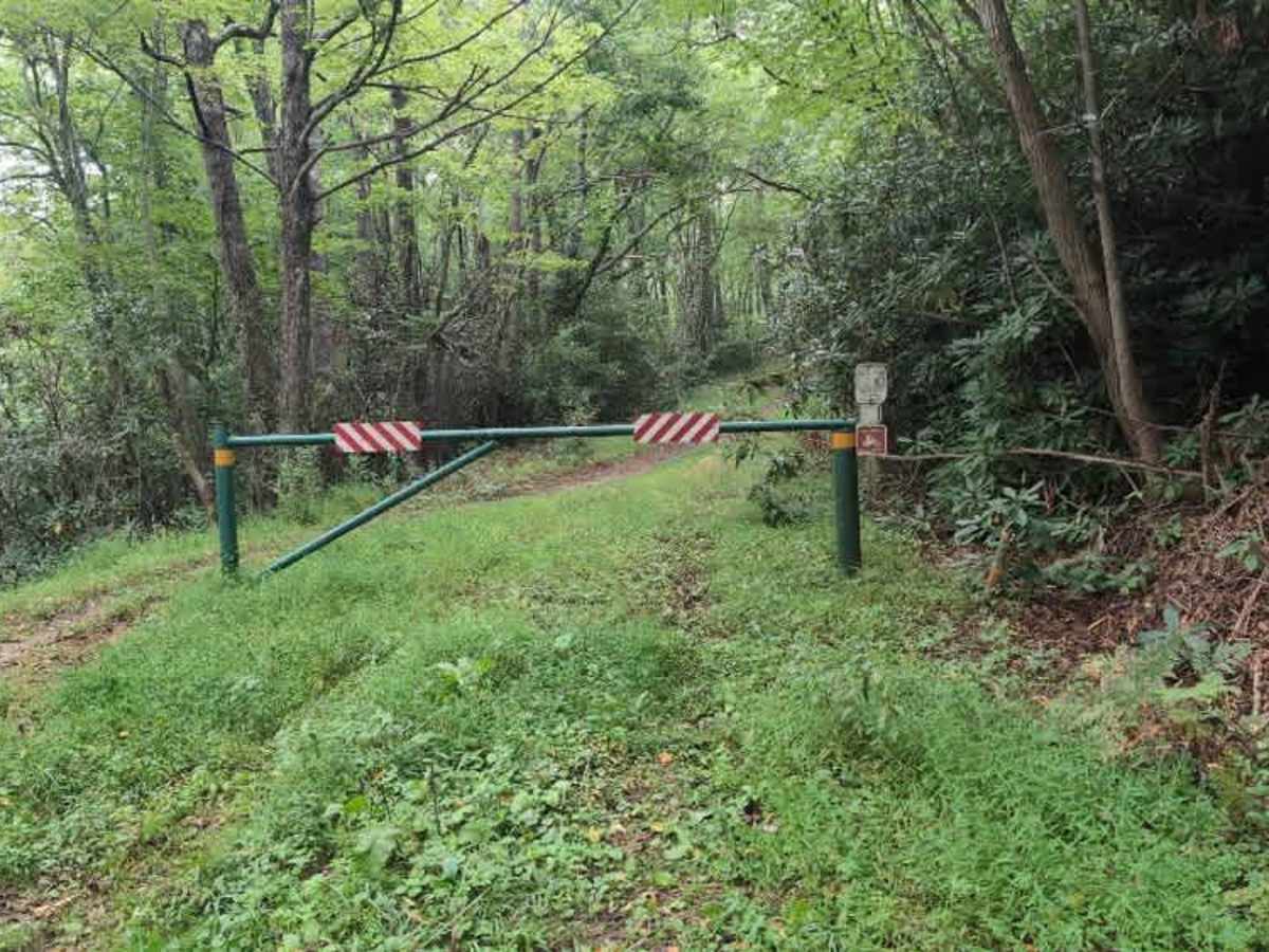 Virginia Highlands Horse Trail Spur B trail photo