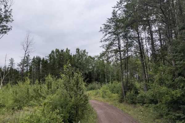 Jackpot Trail