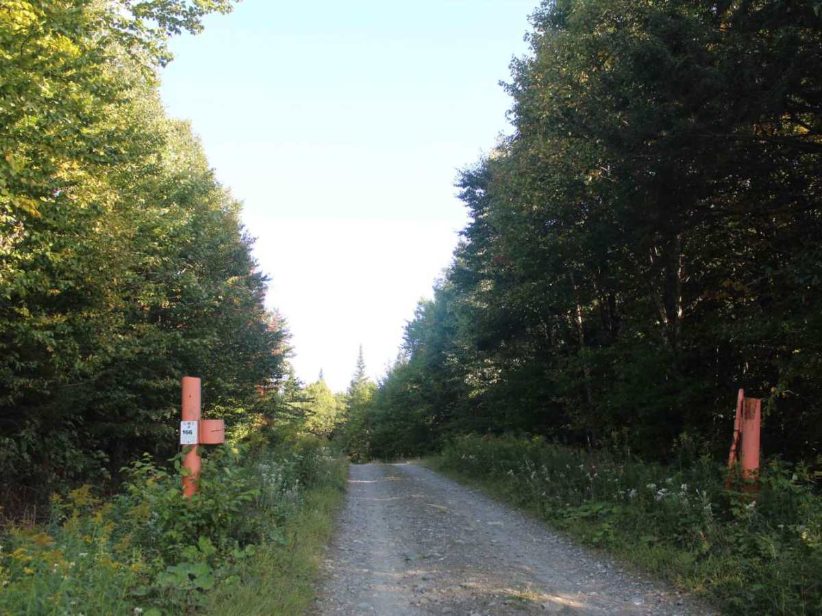 Stub Hill Road trail photo