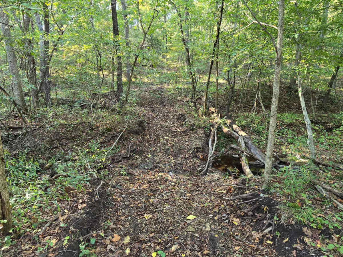 Logging Trail #2 photo 6