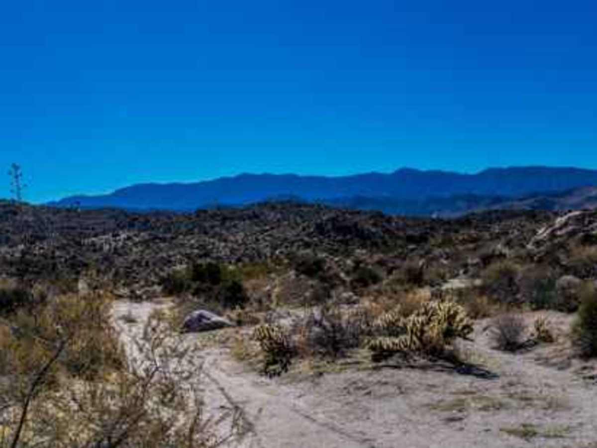 North Pinyon Mountain Road photo 5