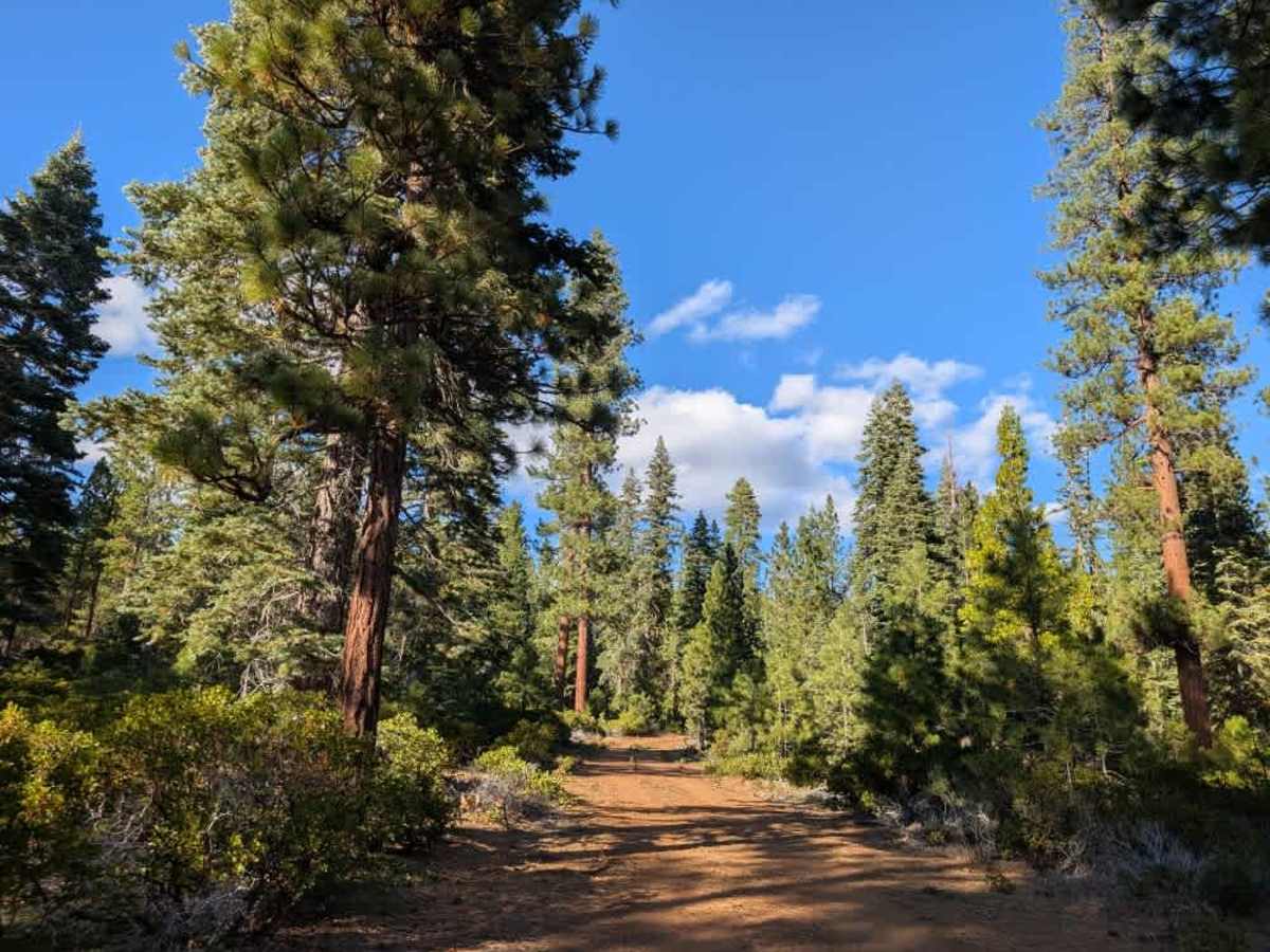 FS 33N50 trail photo