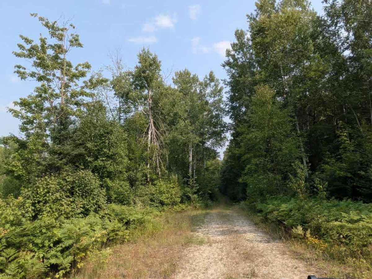 FS 487AB trail photo