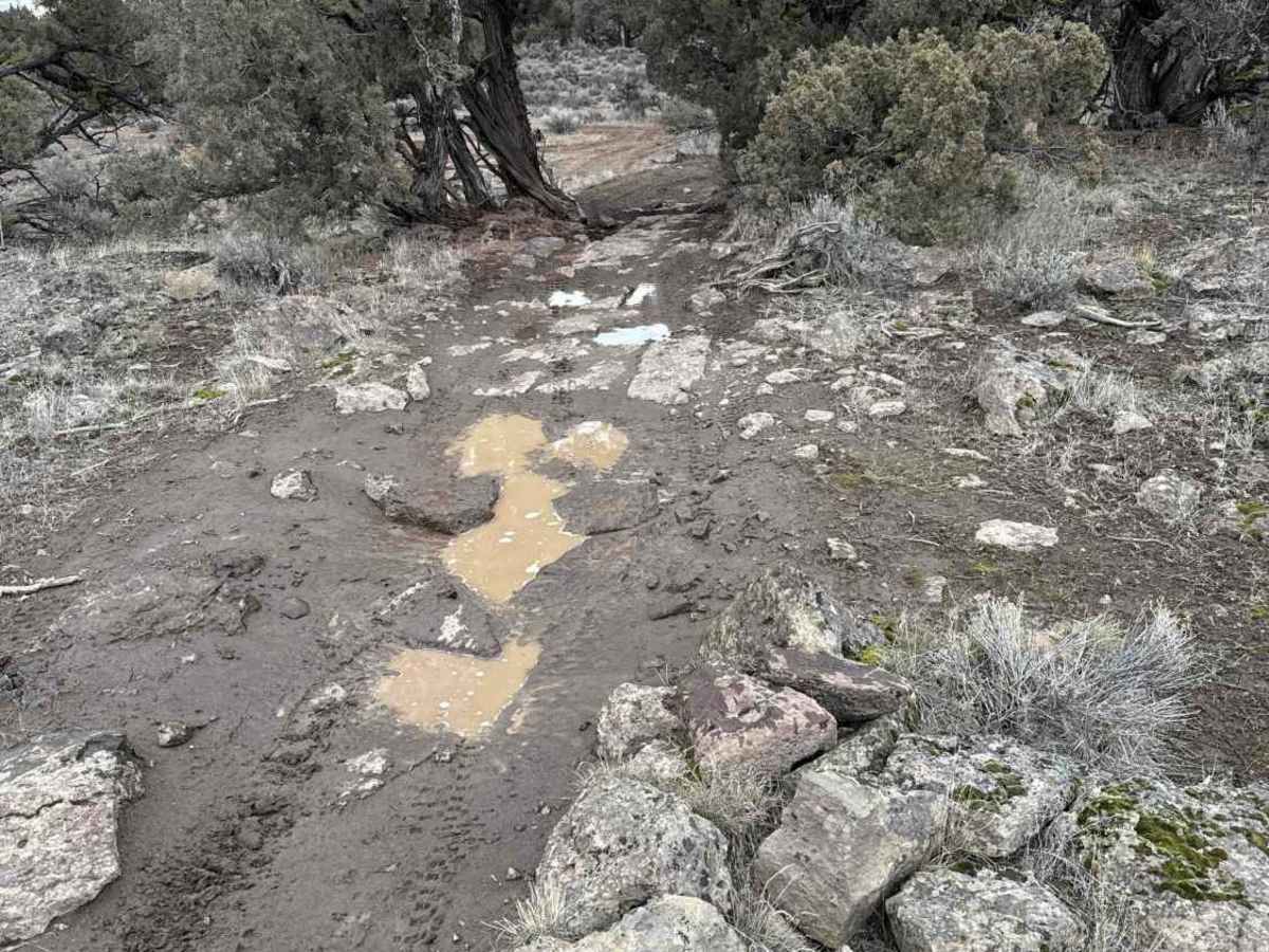 Millican Plateau OHV Trail 83 photo 5