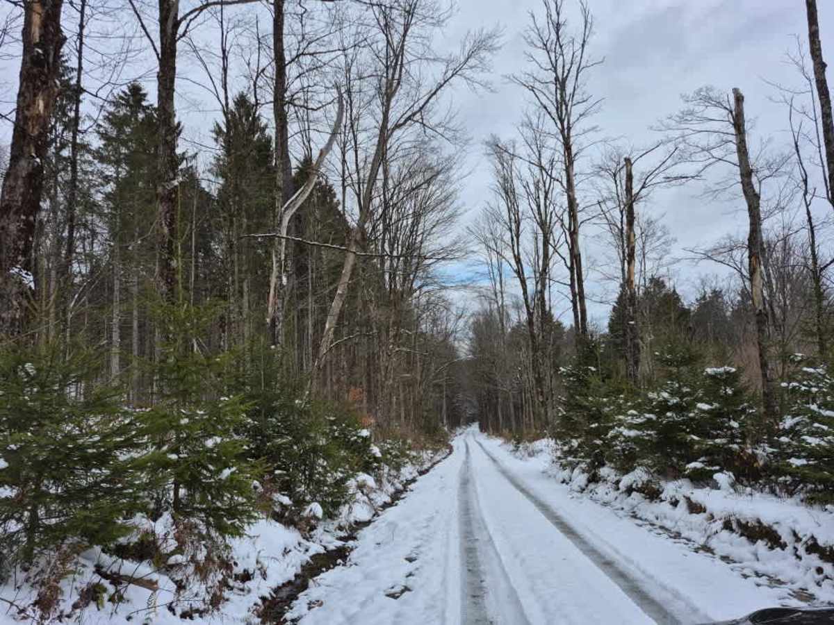 Beaver Meadow PFAR photo 2