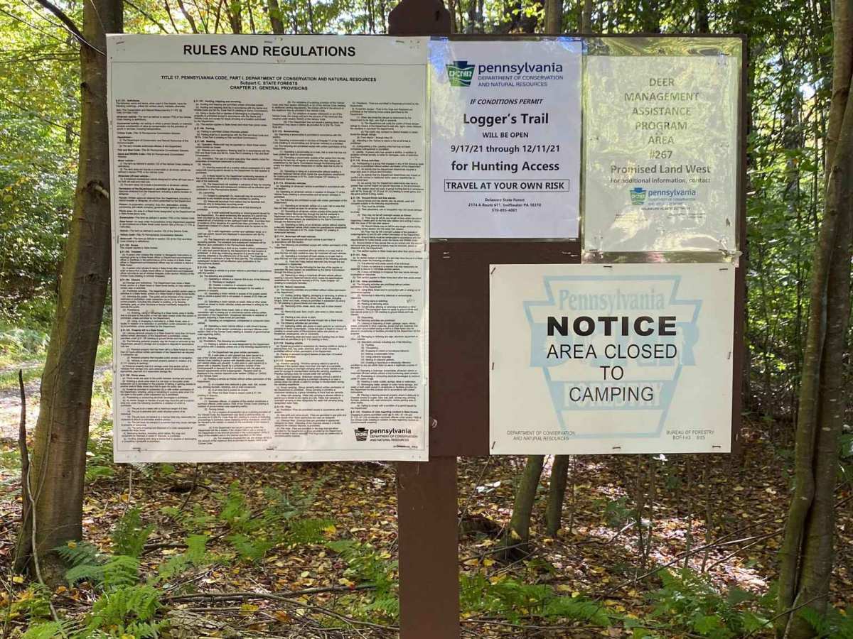 Loggers Trail photo 2
