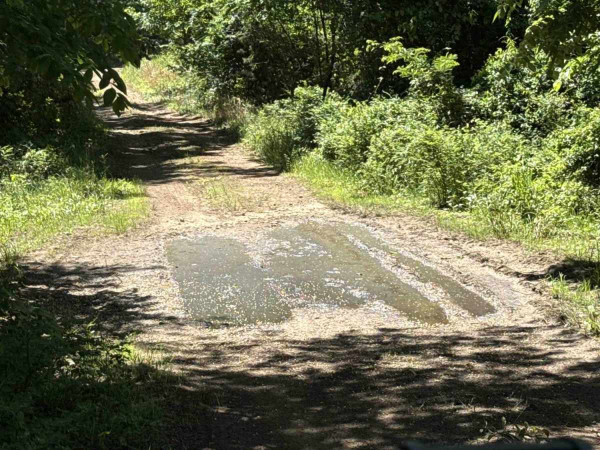 Elmo Creek trail photo