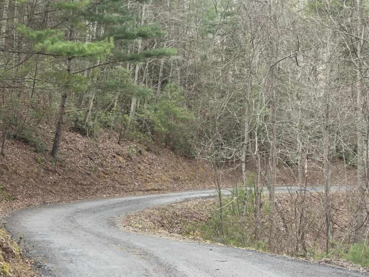 White Oak Flats Spur photo 4