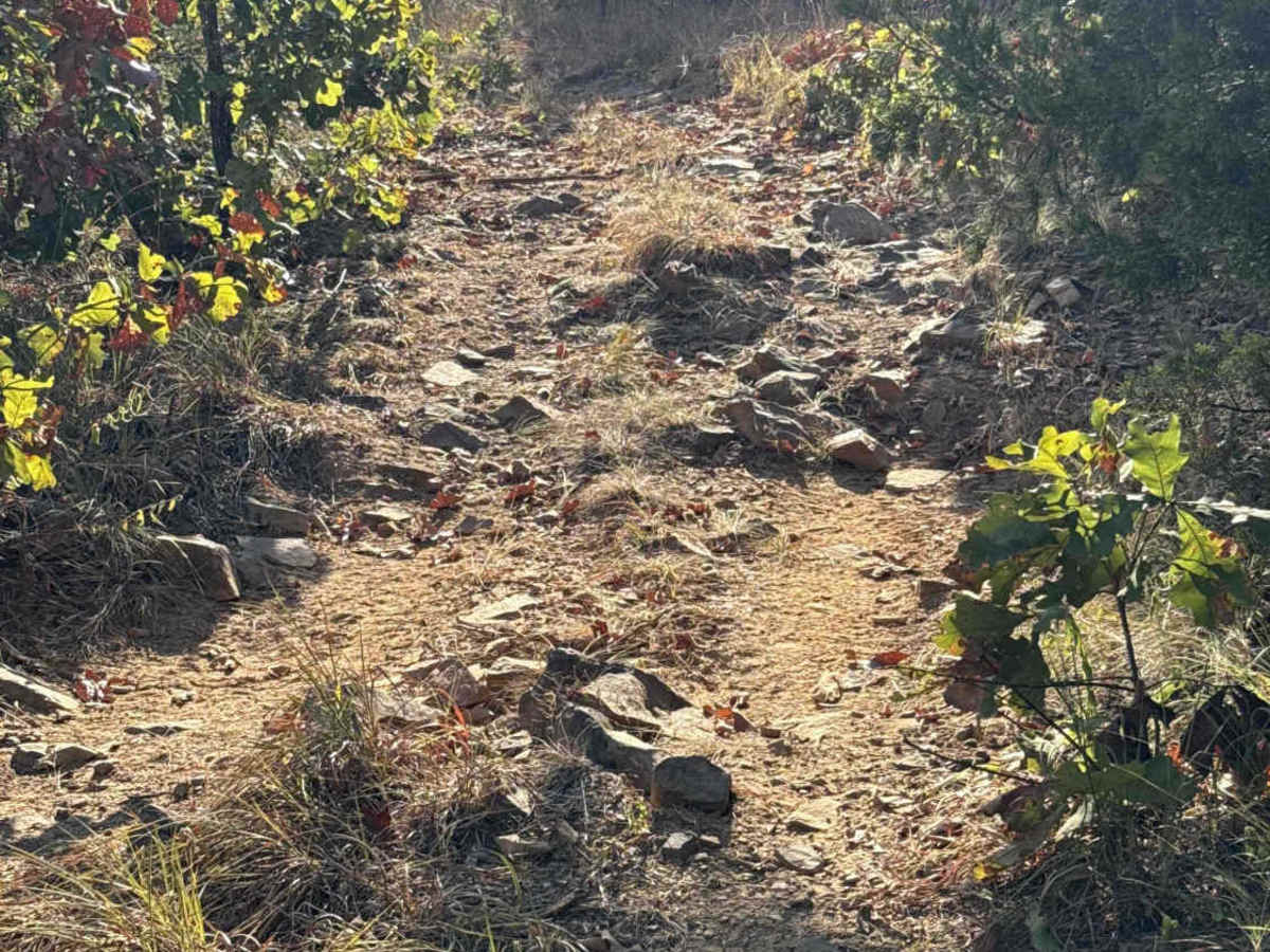 Iwa Ridge photo 6