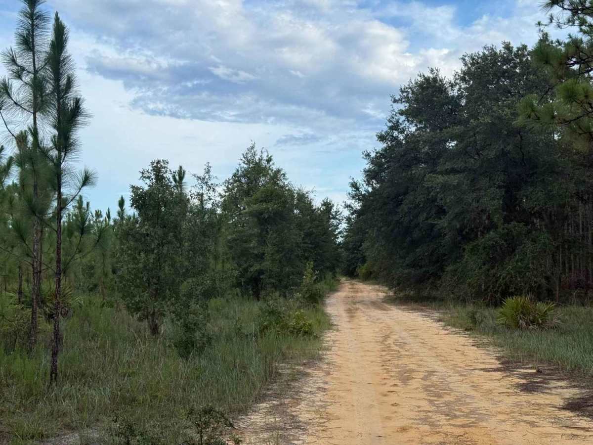 Camp Branch Road photo 4